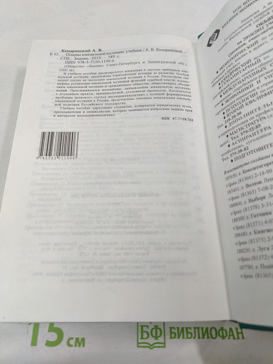 Основы ювенальной юстиции