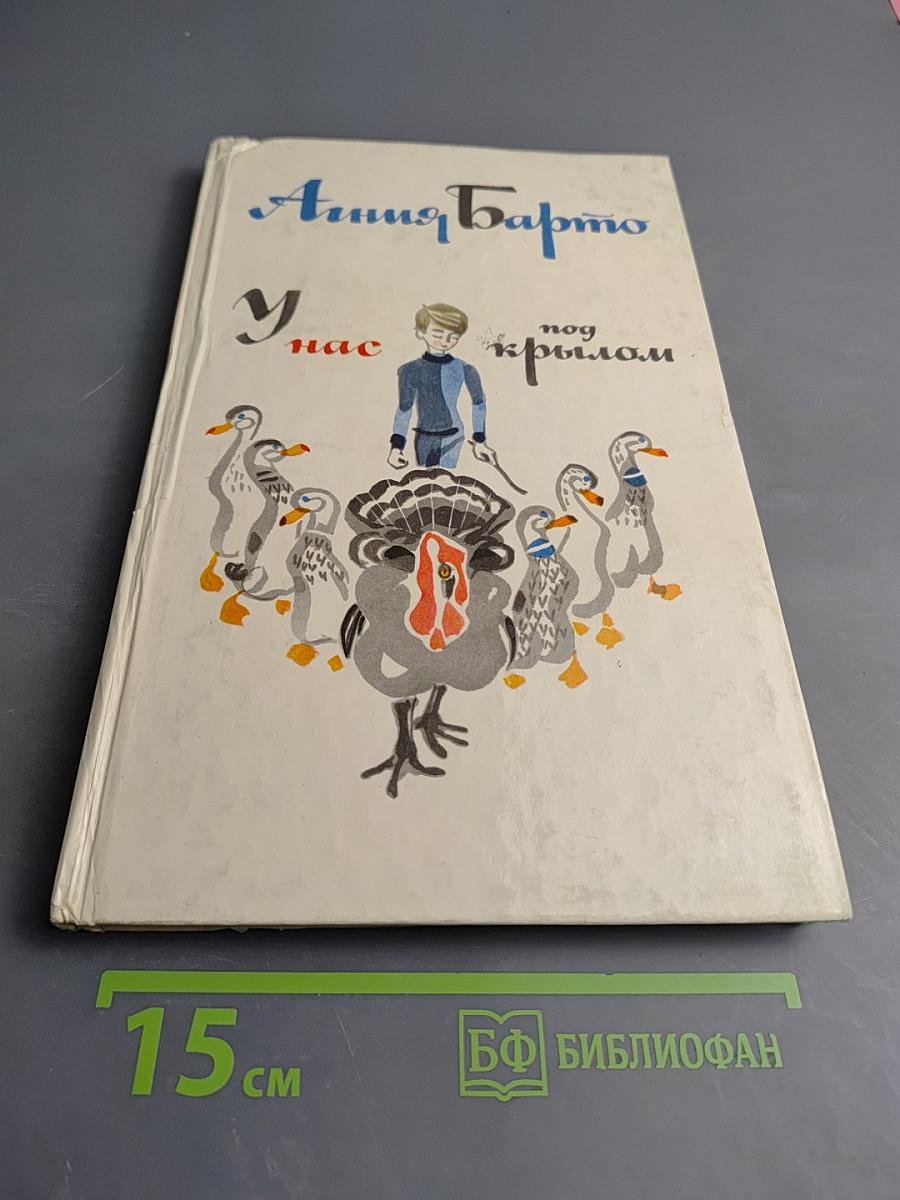 У нас под крылом