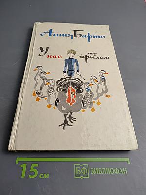 У нас под крылом