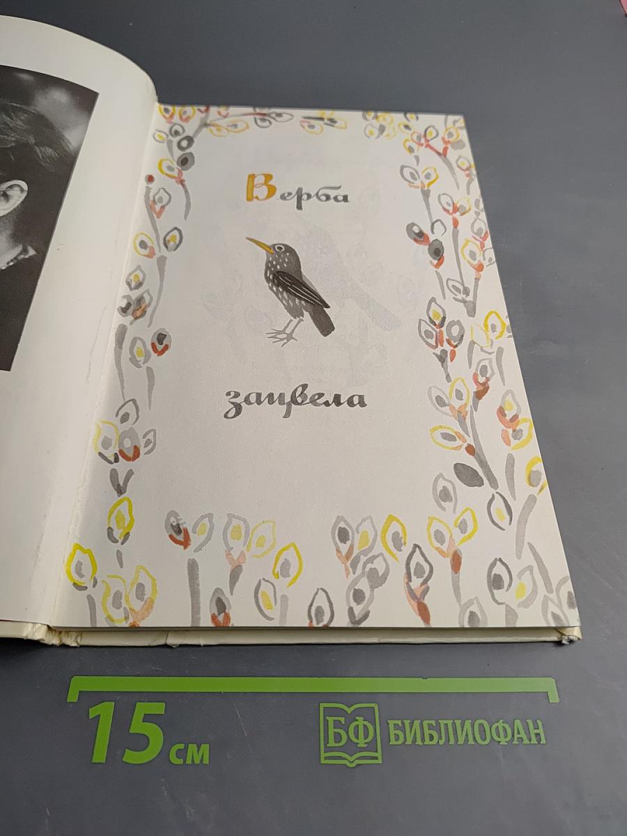 У нас под крылом