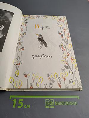 У нас под крылом