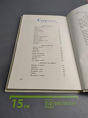 У нас под крылом