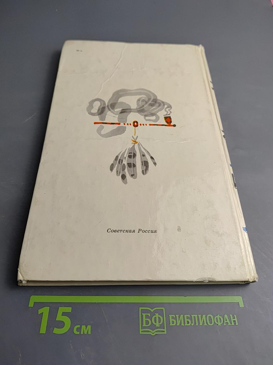 У нас под крылом