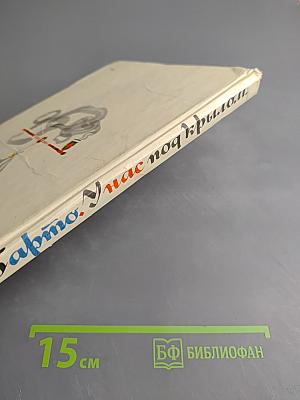 У нас под крылом