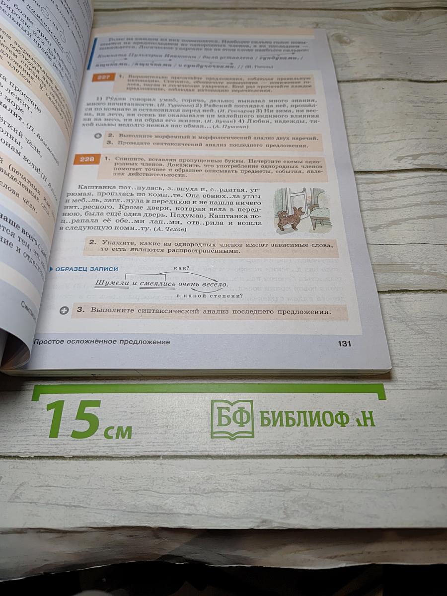 Русский язык. 8 класс