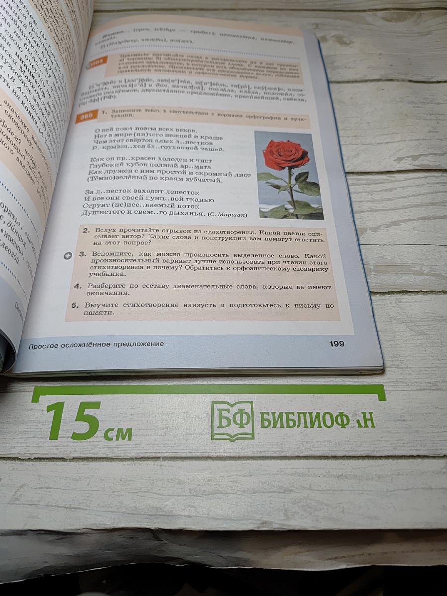 Русский язык. 8 класс