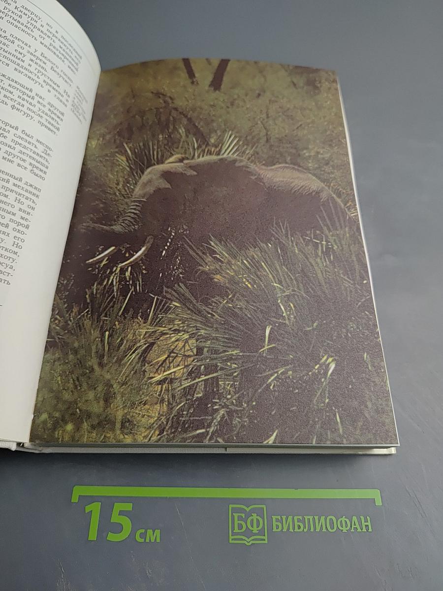 Сафари по Килиманджаро