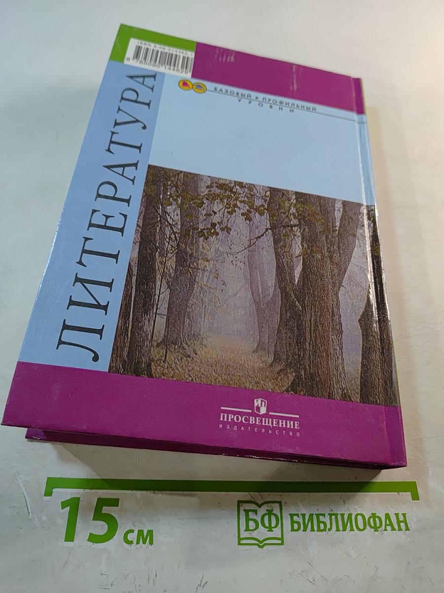 Литература 10 класс. Часть 1