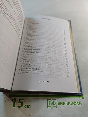 Русская литература XIX века, 10 класс. Учебник-практикум