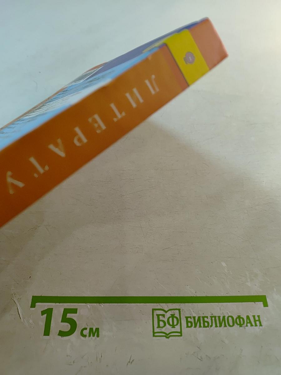 Литература. 9 класс. Учебник. Часть 2