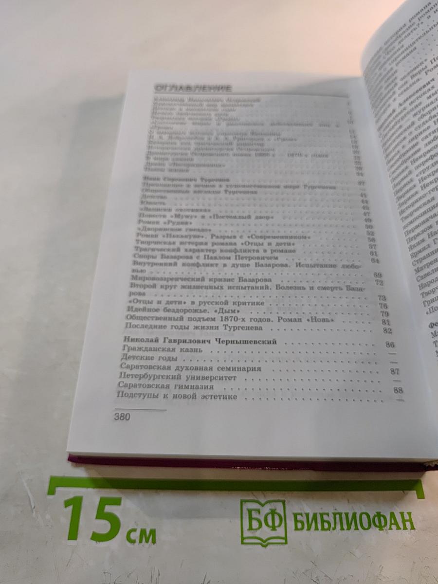 Литература, 10 класс, Часть 2