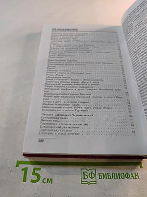 Литература, 10 класс, Часть 2