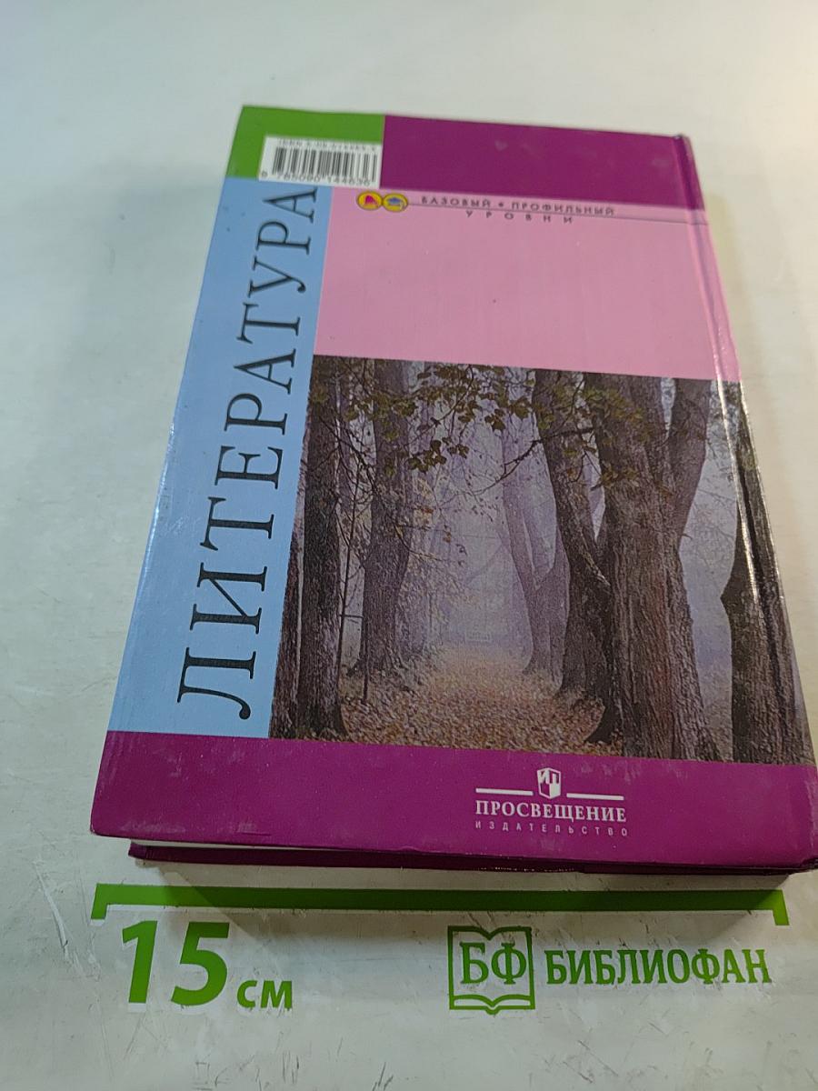 Литература, 10 класс, Часть 2