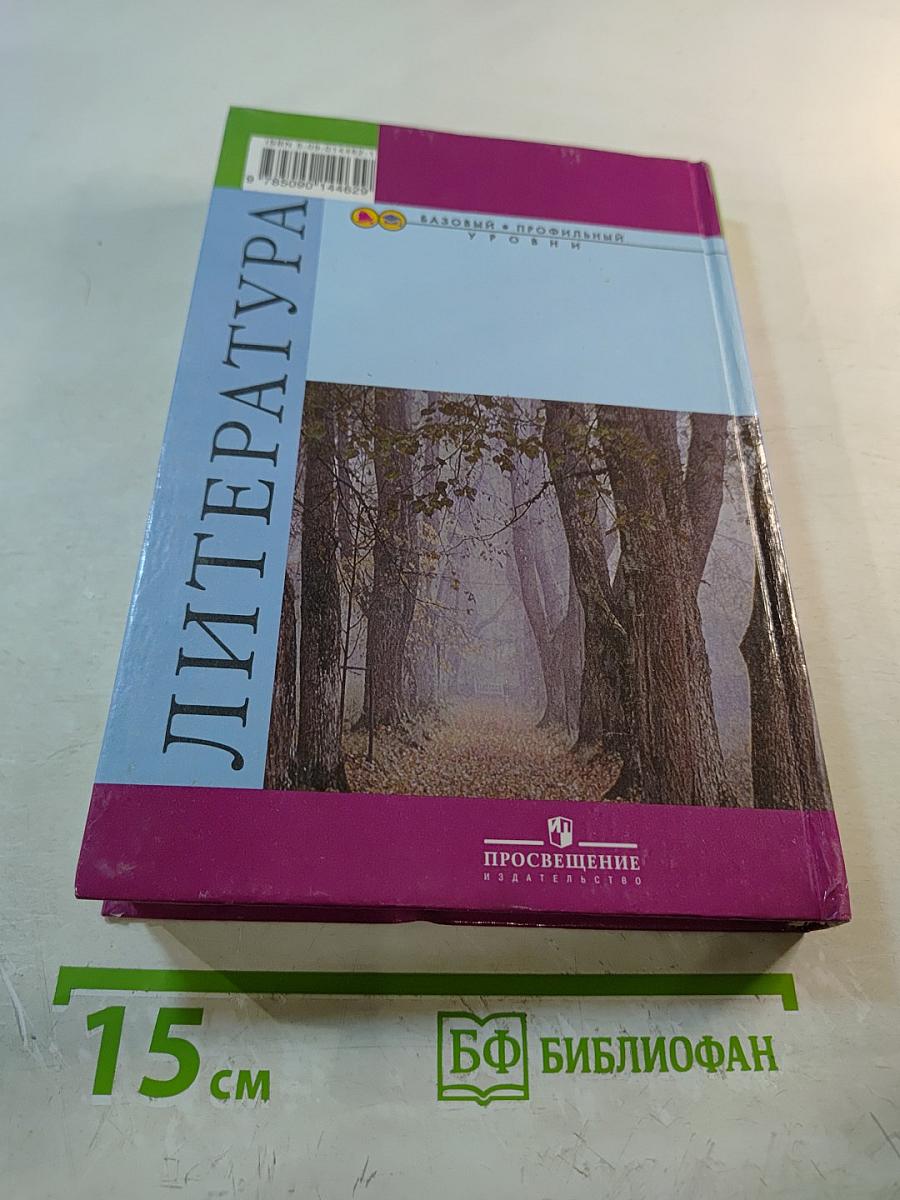 Литература 10 класс, Часть 1