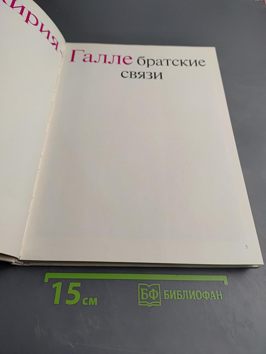 Башкирия-Галле. Братские связи