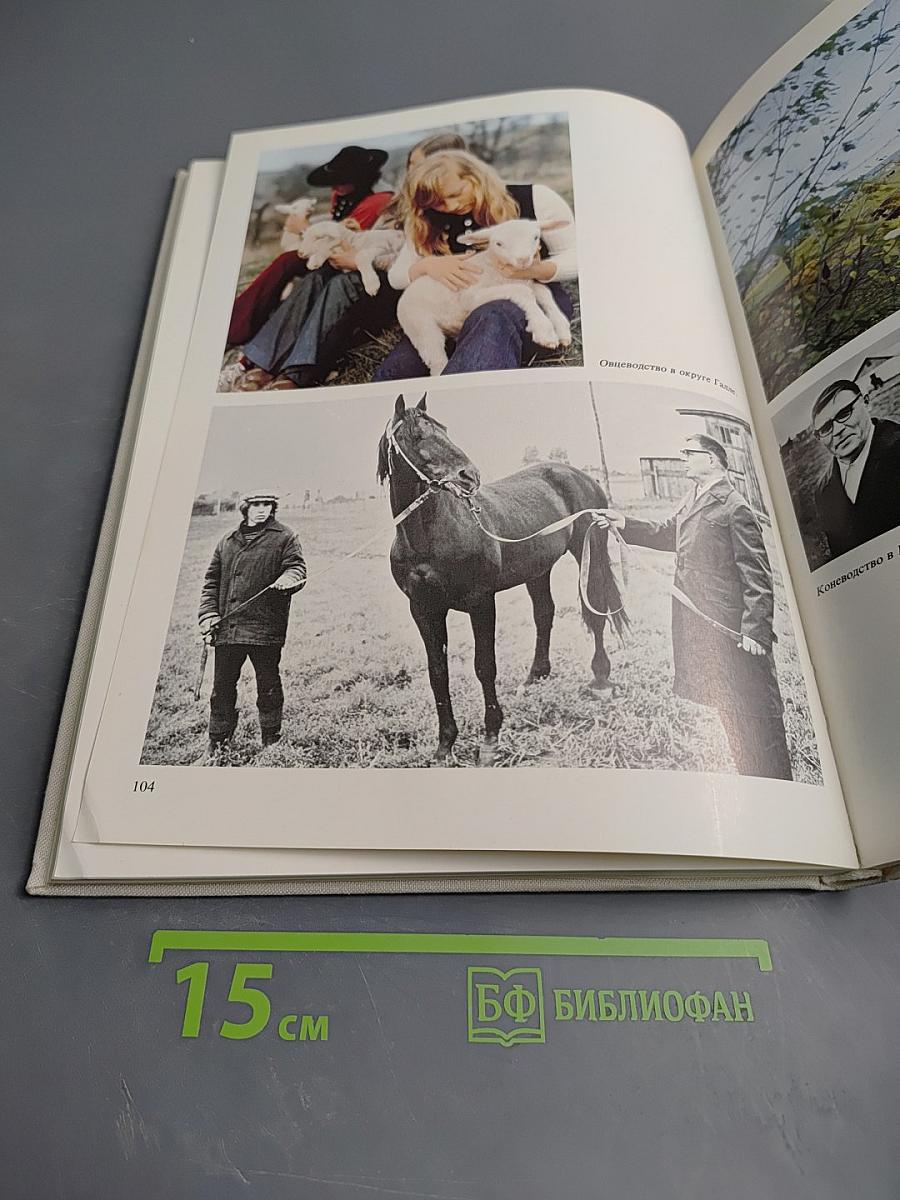 Башкирия-Галле. Братские связи