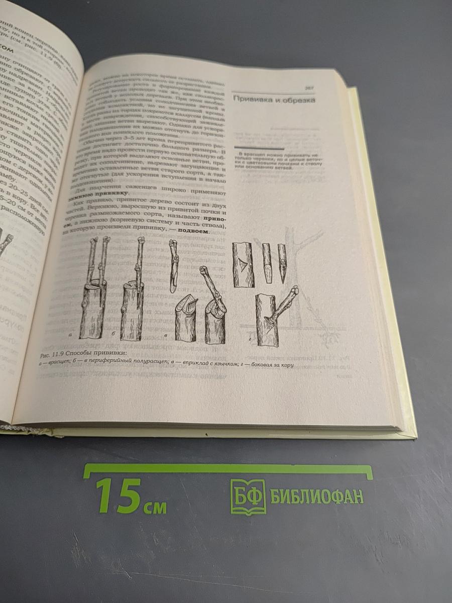 Энциклопедия бывалого дачника