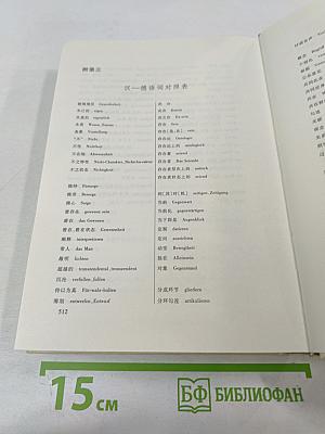 Бытие и время. Пересмотренный перевод