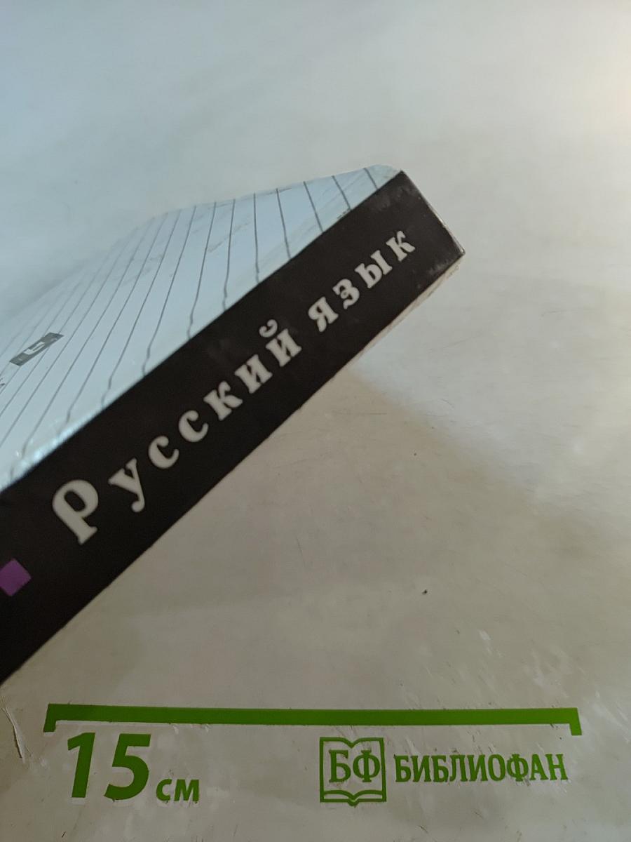 Русский язык 10-11 классы: Пособие для общеобразовательных учреждений