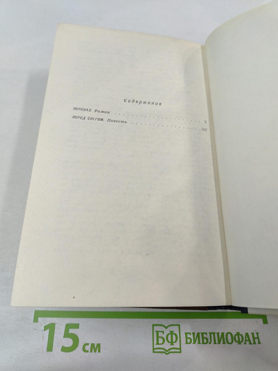 Перевал. Перед снегом