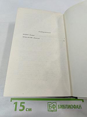 Перевал. Перед снегом