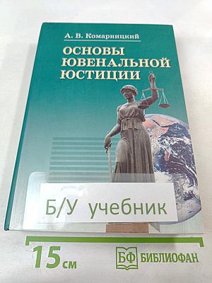 Основы ювенальной юстиции