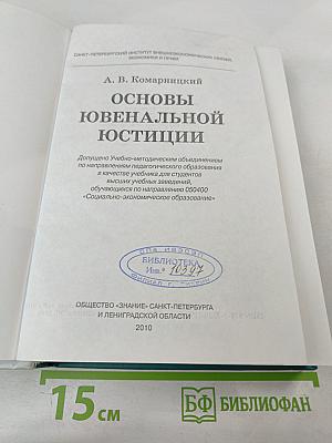 Основы ювенальной юстиции