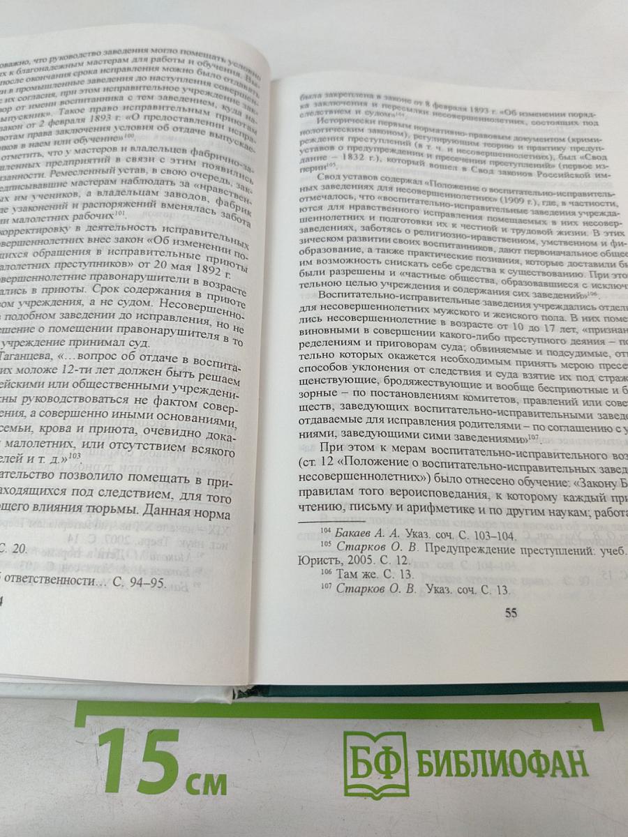 Основы ювенальной юстиции