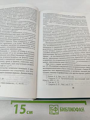 Основы ювенальной юстиции