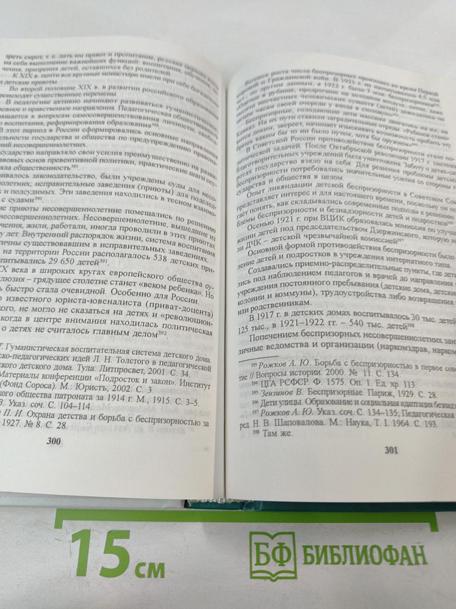 Основы ювенальной юстиции