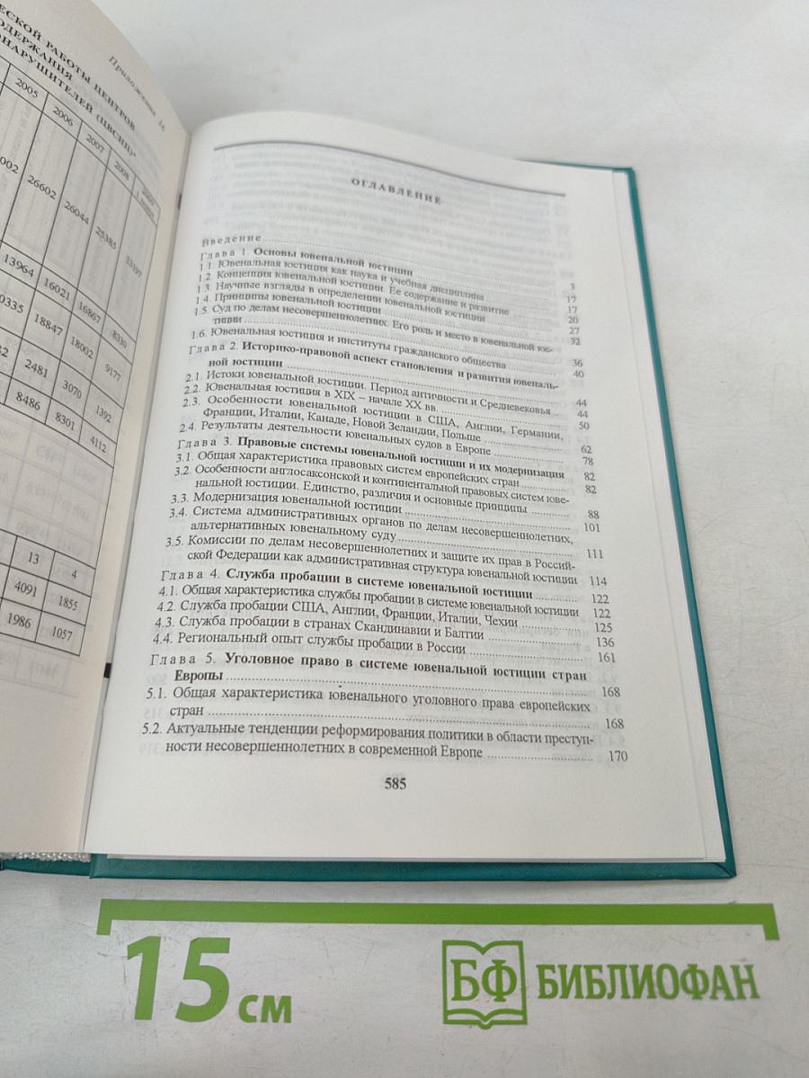 Основы ювенальной юстиции