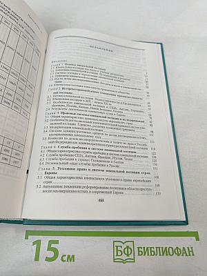 Основы ювенальной юстиции