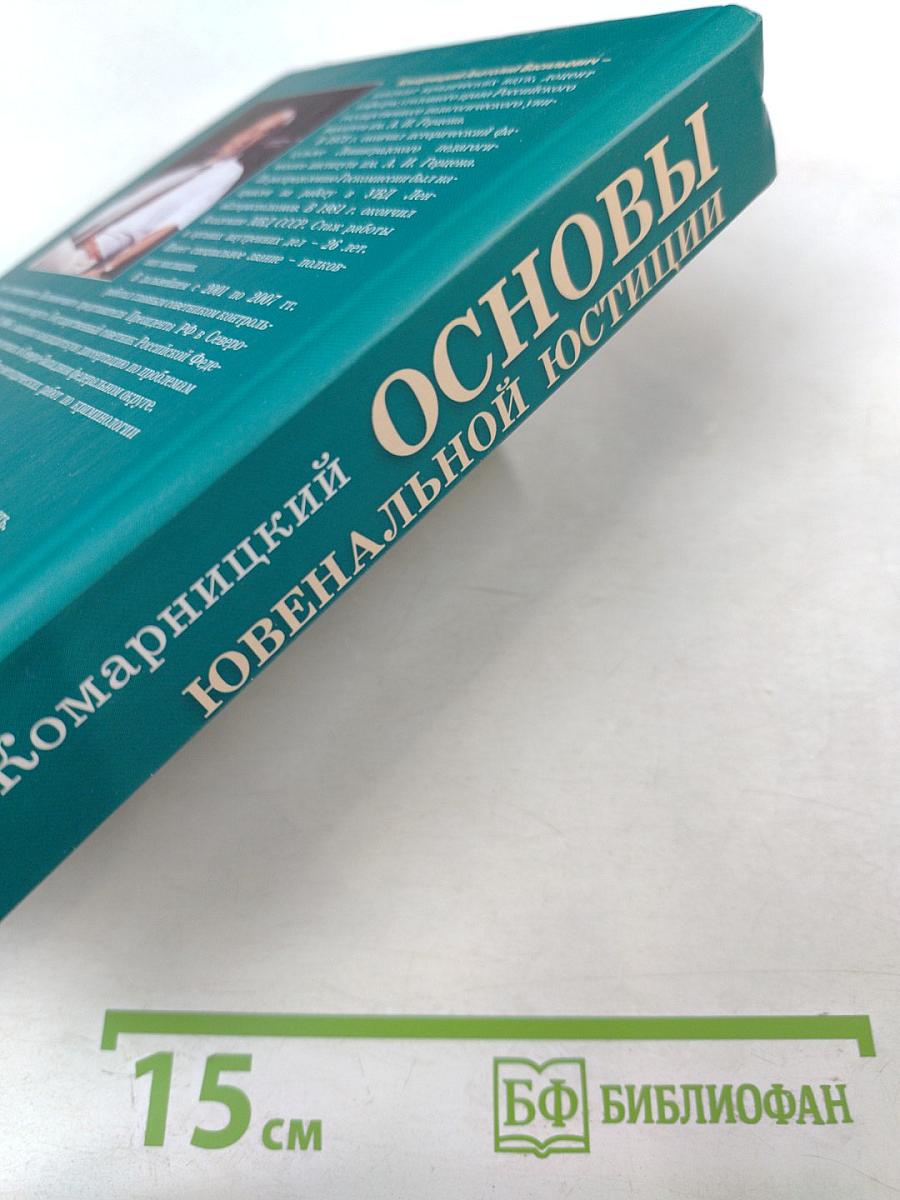 Основы ювенальной юстиции