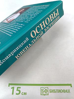 Основы ювенальной юстиции