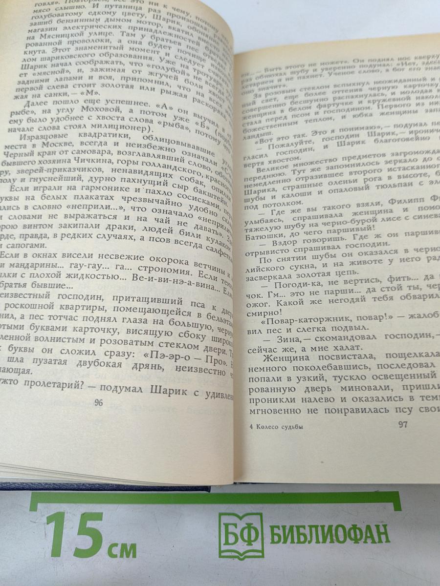 Колесо судьбы