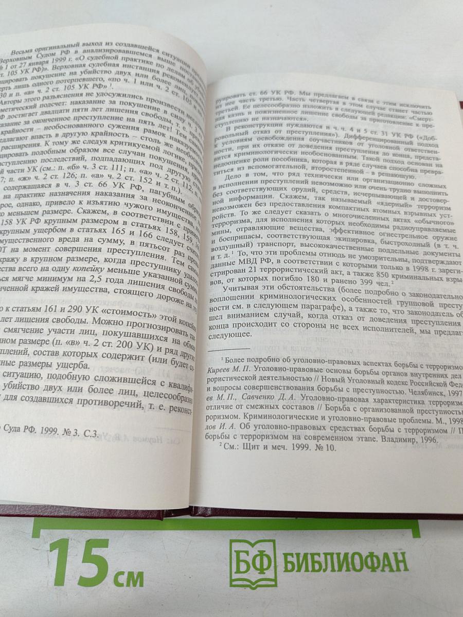 Российское уголовное законодательство. Опыт критического анализа