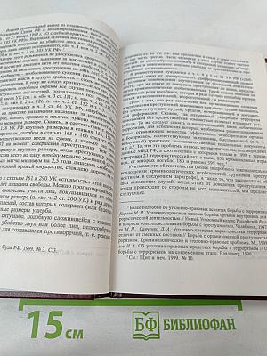 Российское уголовное законодательство. Опыт критического анализа
