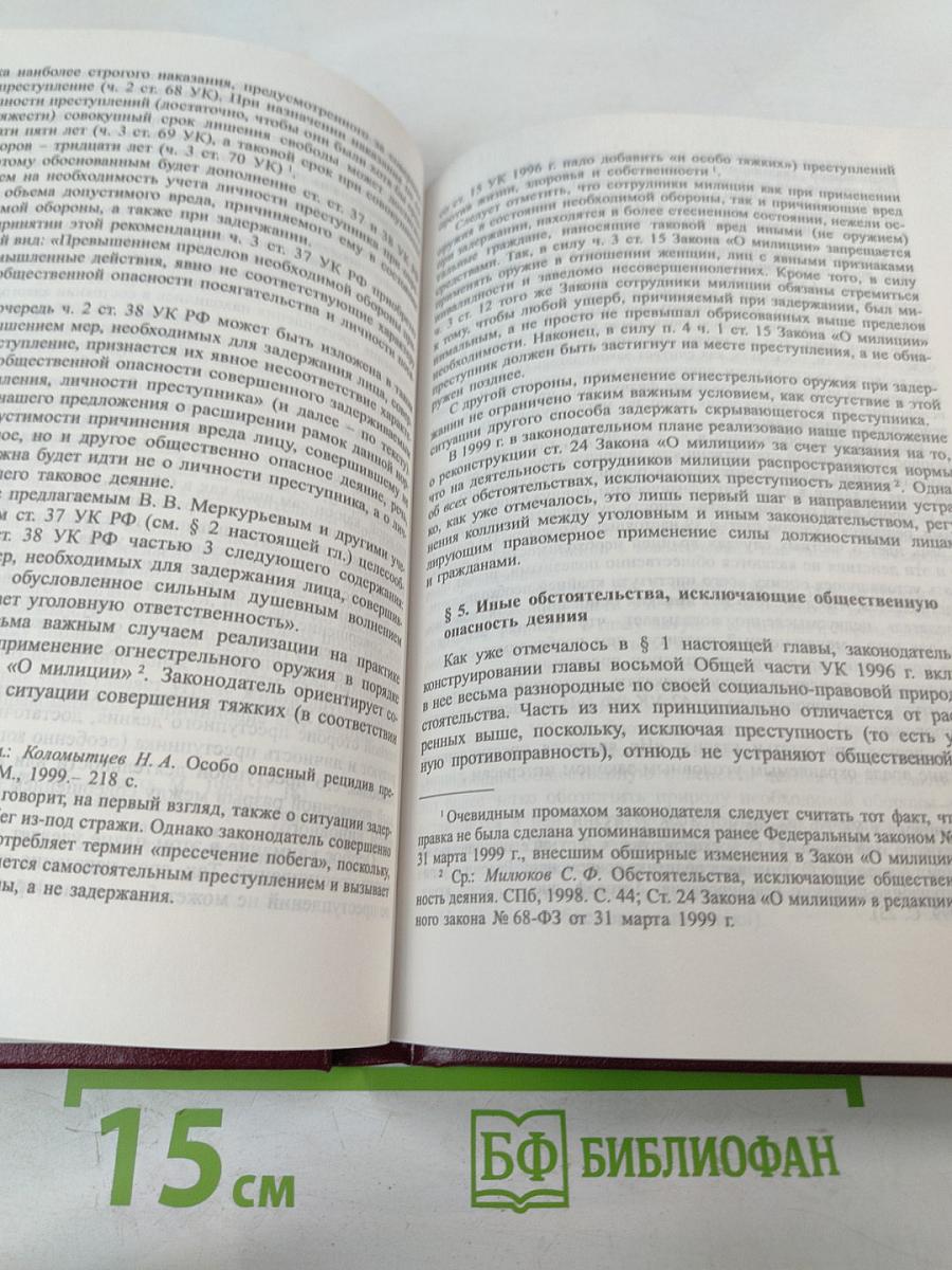 Российское уголовное законодательство. Опыт критического анализа