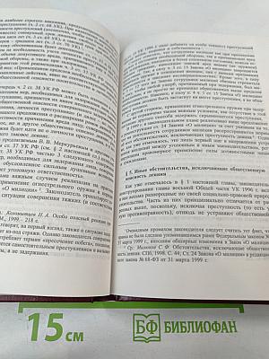Российское уголовное законодательство. Опыт критического анализа