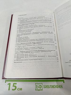 Российское уголовное законодательство. Опыт критического анализа