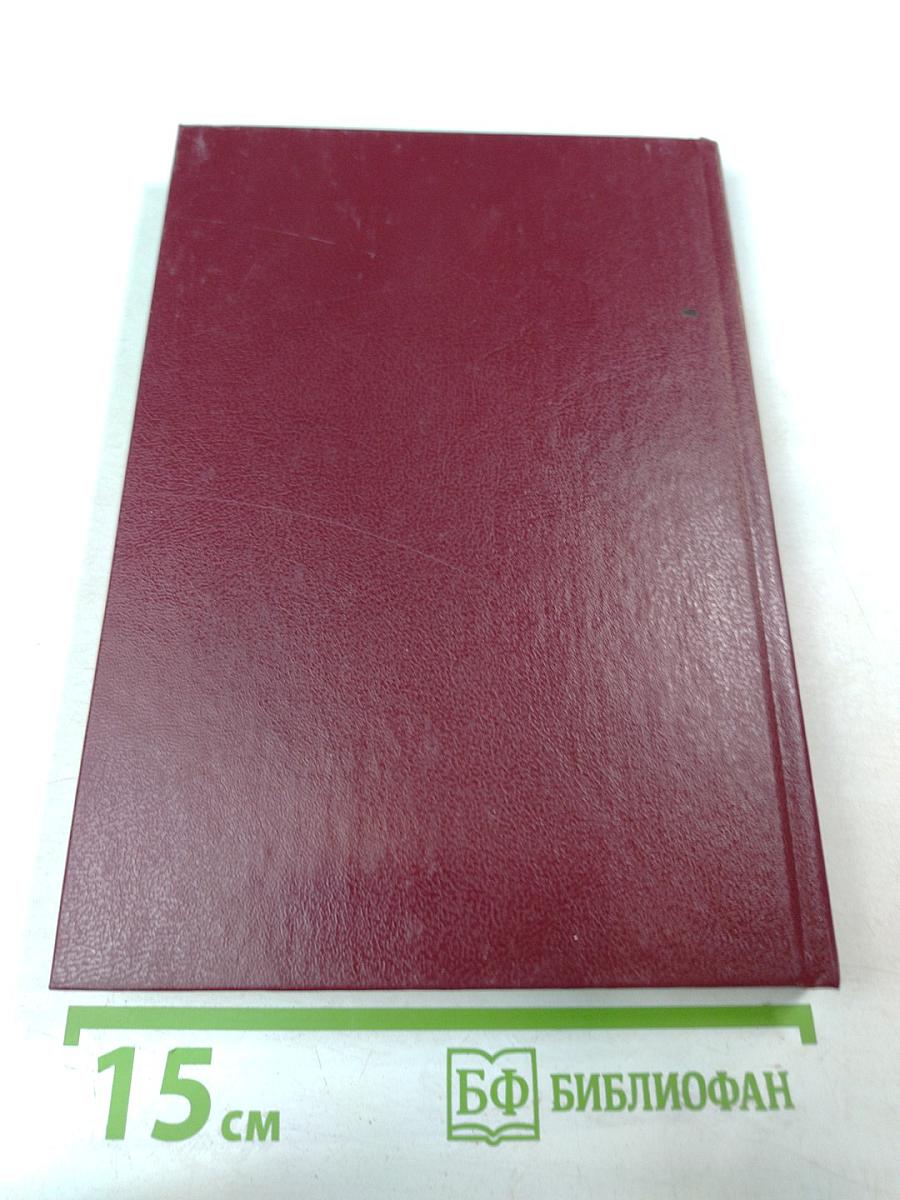 Российское уголовное законодательство. Опыт критического анализа