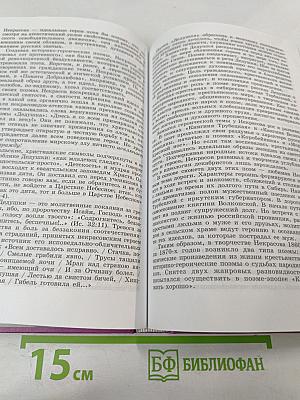 Литература. 10 класс. Часть 2