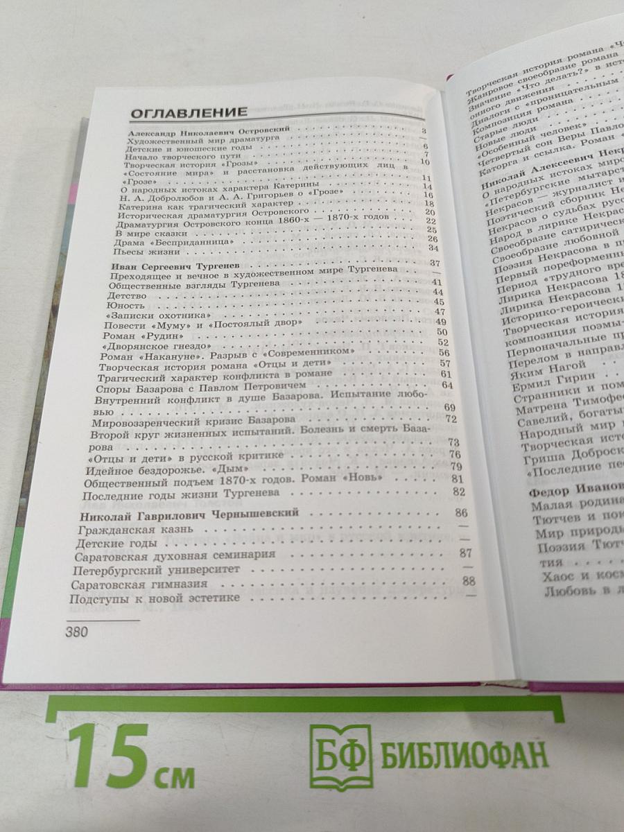 Литература. 10 класс. Часть 2