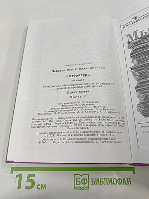 Литература. 10 класс. Часть 2