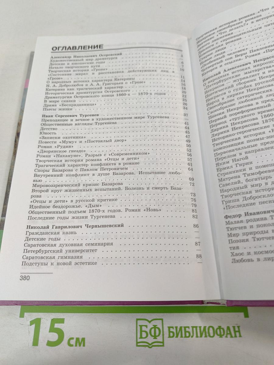 Литература. 10 класс. Часть 2