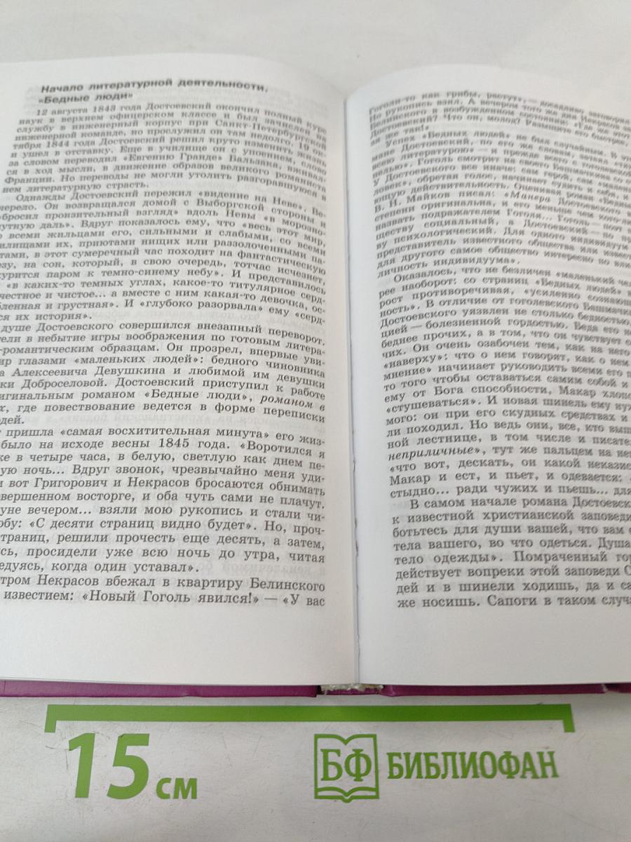 Литература 10 класс, Часть 2