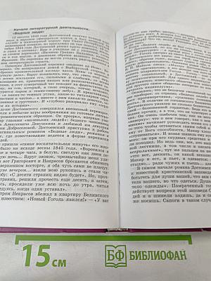 Литература 10 класс, Часть 2