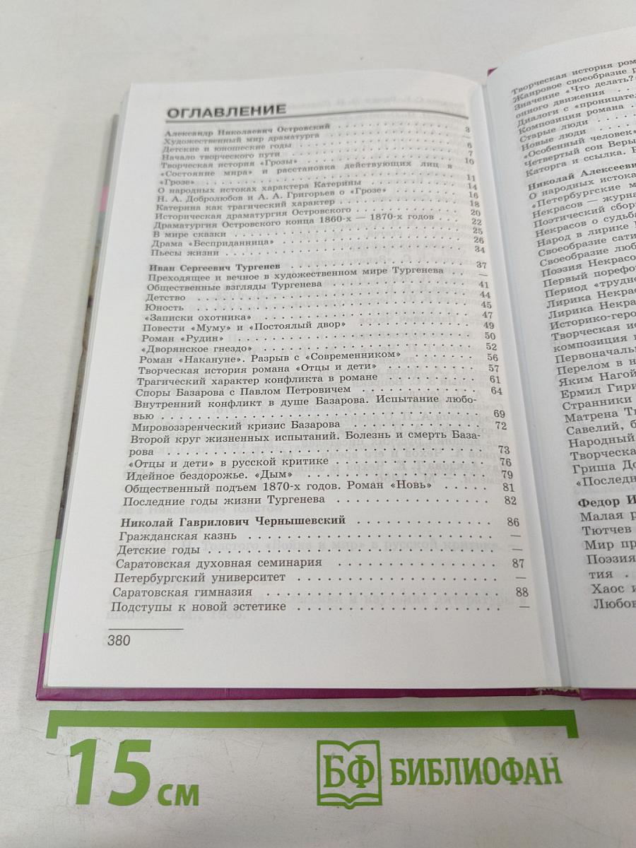 Литература 10 класс, Часть 2