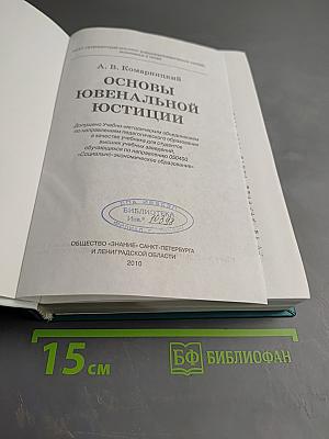 Основы ювенальной юстиции