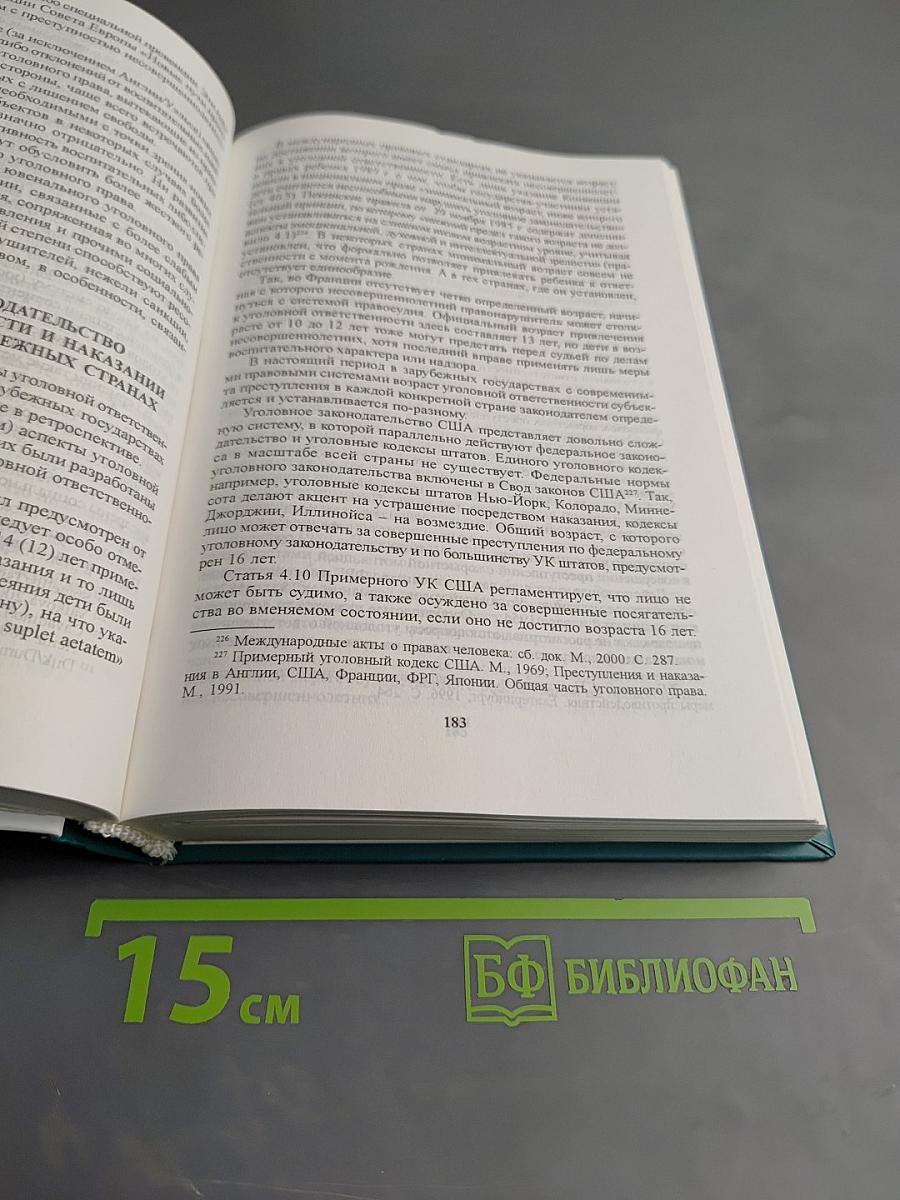 Основы ювенальной юстиции